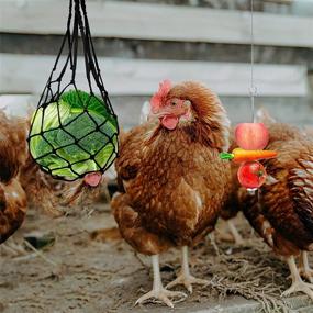 img 2 attached to 🐔 4PCS Xylophone Chicken Toy with Vegetable Skewer Fruit Holder for Hens - Fun & Healthy Pet Treating Tool