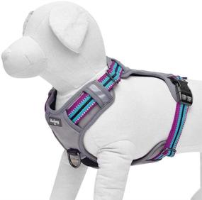 img 1 attached to 🐾 High Visibility Reflective Dog Harnesses in 10+ Vibrant Colors with 3M Reflective Options - Blueberry Pet