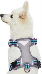 img 2 attached to 🐾 High Visibility Reflective Dog Harnesses in 10+ Vibrant Colors with 3M Reflective Options - Blueberry Pet