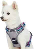 🐾 high visibility reflective dog harnesses in 10+ vibrant colors with 3m reflective options - blueberry pet logo