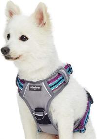 img 4 attached to 🐾 High Visibility Reflective Dog Harnesses in 10+ Vibrant Colors with 3M Reflective Options - Blueberry Pet