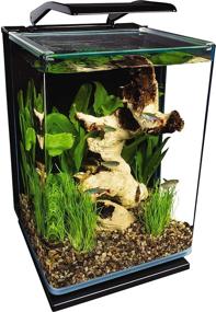img 4 attached to 🐠 5 Gallon Marineland Portrait Glass Aquarium Kit with Hidden Filtration and LED Lighting