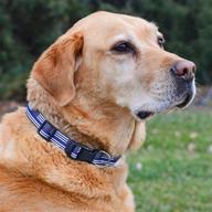 🐾 thin blue line flag dog collar by native pup logo