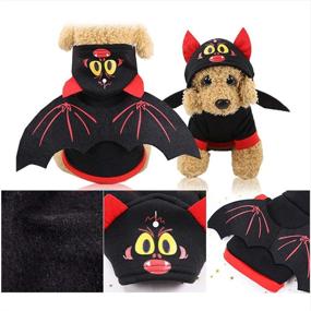 img 1 attached to 🕷️ Spider Shape and Bat Shape Dog Costume for Halloween (Size L), Funny and Cute with Nice Warmth