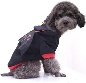 img 3 attached to 🕷️ Spider Shape and Bat Shape Dog Costume for Halloween (Size L), Funny and Cute with Nice Warmth