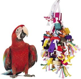 img 3 attached to 🦜 Interactive Multicolored Wooden Blocks for Macaws, Cockatoos, Amazon Parrots: BWOGUE Large Parrot Chew Toy Bird Chewing Toy