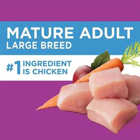 img 1 attached to IAMS Senior Dry Dog Food: Chicken Flavor for All Breed Sizes - Nourish Your Aging Canine