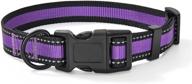 🐶 high visibility nylon dog collar with reflective 3m stripe in red, blue, green, purple, pink логотип