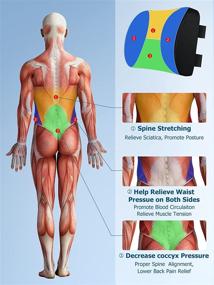 img 1 attached to 💺 Подушка с регулируемой поясничной поддержкой для офиса, с памятью из пены с дышащей 3D-сеткой и воздушным волокном - идеально подходит для облегчения боли в спине, игрового кресла, компьютера, автомобильного сиденья.