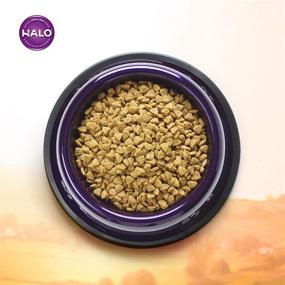 img 2 attached to Halo Dry Cat Food: Effective Indoor Grain-Free Weight Control Formula