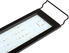 img 2 attached to 🐠 Full Spectrum LED Aquarium Light for Water Rebirth: Extendable Brackets, Aluminum Alloy Shell (12-18 in)