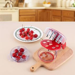 img 1 attached to 🍒 FSCEPIXI Cherry Pitter: Efficient 6 Cherries Pitter Remover for Making Cherry Pie and Jam, with Lock & Juice Container - Red