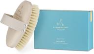 🌿 aromatherapy associates revive body brush: vegan agave sisal bristles for dry skin exfoliation, detoxification, circulation-stimulation, lymphatic drainage, and skin brightening logo