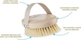 img 3 attached to 🌿 Aromatherapy Associates Revive Body Brush: Vegan Agave Sisal Bristles for Dry Skin Exfoliation, Detoxification, Circulation-stimulation, Lymphatic Drainage, and Skin Brightening