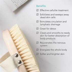 img 2 attached to 🌿 Aromatherapy Associates Revive Body Brush: Vegan Agave Sisal Bristles for Dry Skin Exfoliation, Detoxification, Circulation-stimulation, Lymphatic Drainage, and Skin Brightening