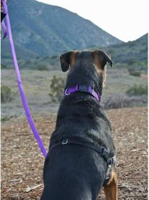 img 1 attached to 🐾 The Pawsitive Co. PWSTV Collection: Premium Dog Collars and Leashes (Sold Individually)