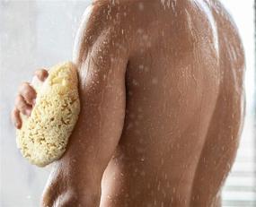 img 1 attached to 🧽 Constantia Man's Real Sea Sponge for Men: Extra Large, Totally Natural 6"-7" Sponge in a Breathable Mesh Bag – Ideal for Invigorating Showers, Gym, Grooming, and Perfect Bath & Body Gift