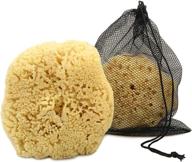 🧽 constantia man's real sea sponge for men: extra large, totally natural 6"-7" sponge in a breathable mesh bag – ideal for invigorating showers, gym, grooming, and perfect bath & body gift logo