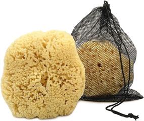 img 4 attached to 🧽 Constantia Man's Real Sea Sponge for Men: Extra Large, Totally Natural 6"-7" Sponge in a Breathable Mesh Bag – Ideal for Invigorating Showers, Gym, Grooming, and Perfect Bath & Body Gift