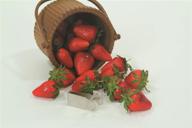 fox run strawberry huller set logo