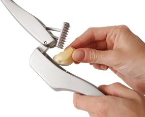 img 2 attached to Zyliss Silver Garlic Press - Enhanced SEO-friendly Product Title