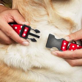 img 2 attached to 🐾 Stylish and Functional: Minnie Mouse Polka Dot Dog Collar with Plastic Clip - Adjustable Sizes for Small, Medium, and Large Dogs
