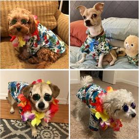 img 2 attached to 🐶 Adorable 3-Piece Hawaiian Costume for Small to Medium Dogs: T-Shirts, Sunglasses & Colorful Wreath