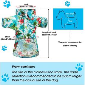 img 3 attached to 🐶 Adorable 3-Piece Hawaiian Costume for Small to Medium Dogs: T-Shirts, Sunglasses & Colorful Wreath