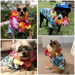 img 1 attached to 🐶 Adorable 3-Piece Hawaiian Costume for Small to Medium Dogs: T-Shirts, Sunglasses & Colorful Wreath