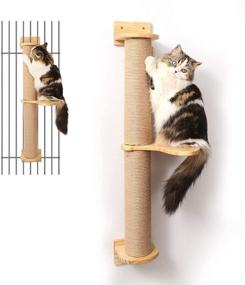 img 4 attached to 😺 Enhance Your Cat's Playtime with the FUKUMARU Cat Activity Tree: Wall-Mounted Scratching Posts, Jute Scratcher, and Pine Hammock Combo!