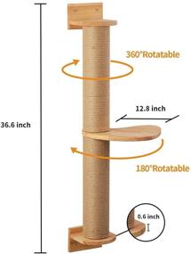 img 2 attached to 😺 Enhance Your Cat's Playtime with the FUKUMARU Cat Activity Tree: Wall-Mounted Scratching Posts, Jute Scratcher, and Pine Hammock Combo!