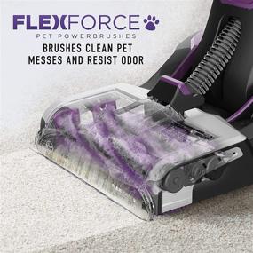 img 1 attached to 🆒 Advanced Hoover SmartWash Automatic Carpet Cleaner: Spot Chaser Stain Remover Wand, Ideal Shampooer Machine for Pets - FH53000PC Purple