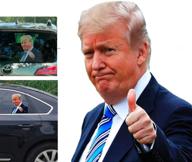 toogod trump car sticker: show your support with this window decal & cling for left side riders logo