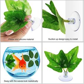 img 2 attached to 🐠 Enhance Your Betta Fish Habitat with Juexica Betta Fish Leaf Pad: Lightweight, Realistic, and Relaxing Fish Tank Decorations - 6 Piece Set