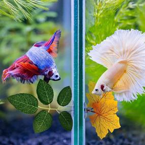 img 1 attached to 🐠 Enhance Your Betta Fish Habitat with Juexica Betta Fish Leaf Pad: Lightweight, Realistic, and Relaxing Fish Tank Decorations - 6 Piece Set