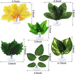 img 3 attached to 🐠 Enhance Your Betta Fish Habitat with Juexica Betta Fish Leaf Pad: Lightweight, Realistic, and Relaxing Fish Tank Decorations - 6 Piece Set