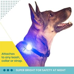 img 2 attached to 🐾 Hunter Paisley Premium LED Light for Nighttime Dog Walking - 2-Pack Waterproof Collar Lights. Super Bright. Attach to Collar, Leash, or Harness. Bonus Batteries. Available in 12 Vibrant Colors.