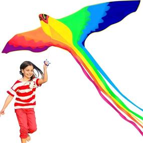 img 4 attached to 🪁 HENGDA KITE Strong Phoenix Colorful Beginner: Unleash the Power of Flying!
