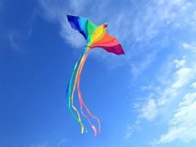 img 3 attached to 🪁 HENGDA KITE Strong Phoenix Colorful Beginner: Unleash the Power of Flying!