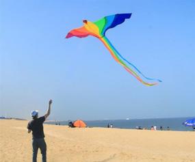 img 1 attached to 🪁 HENGDA KITE Strong Phoenix Colorful Beginner: Unleash the Power of Flying!
