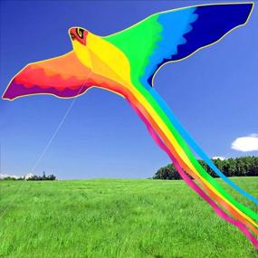 img 2 attached to 🪁 HENGDA KITE Strong Phoenix Colorful Beginner: Unleash the Power of Flying!