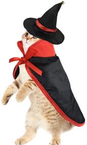 img 1 attached to Yookat Vampire Cat Costume Set: Bat Wings Cloak, Hat, and Cape for Pet Halloween Costume Party & Cosplay