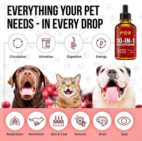 img 3 attached to 🐾 Complete 10-in-1 Cat & Dog Multivitamin: Hip & Joint Support + Essential Vitamins & Cranberry Supplement for Optimal Health - Aids Bladder, Kidney, Skin, and Joint Function - Includes Glucosamine for Dogs