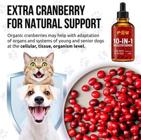 img 2 attached to 🐾 Complete 10-in-1 Cat & Dog Multivitamin: Hip & Joint Support + Essential Vitamins & Cranberry Supplement for Optimal Health - Aids Bladder, Kidney, Skin, and Joint Function - Includes Glucosamine for Dogs