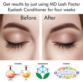 img 2 attached to 💯 MD Lash Factor Кондиционер для роста ресниц - Увеличивает объём, длину и плотность естественных ресниц - Улучшитель для ресниц для женщин - 0,1 унции/14 мл - На 3 месяца