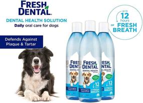 img 3 attached to 🐶 Naturel Promise Fresh Dental Water Additive - Effective Dental Solution for Dogs - Simple & Effective - Teeth Cleaning & Fresh Breath - Long-lasting Results - No Brushing Needed - 18 fl oz