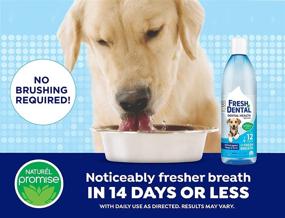 img 2 attached to 🐶 Naturel Promise Fresh Dental Water Additive - Effective Dental Solution for Dogs - Simple & Effective - Teeth Cleaning & Fresh Breath - Long-lasting Results - No Brushing Needed - 18 fl oz
