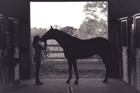 img 1 attached to 🐴 Horsemen's Pride Flat Back 20 Gallon Water Bucket for Horses and Dogs: Efficient Hydration Solution!