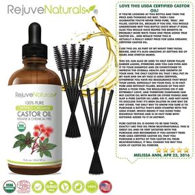 img 1 attached to 🌿 USDA Certified Organic Castor Oil - Enhance Hair Growth for Hair, Eyelashes &amp; Eyebrows. 100% Pure, Cold Pressed, Hexane Free. Eyelash Growth Serum &amp; Brow Treatment Kit Included