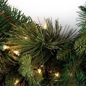 img 3 attached to 🎄 National Tree Company 30 Inch Pre-Lit Artificial Christmas Wreath: Green Carolina Pine with White Lights, Pine Cone Decorations - Christmas Collection